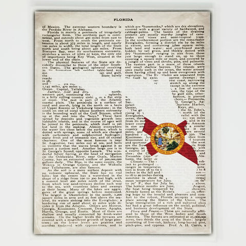Florida Flag Canvas Wall Decor - 8x10 Decorative FL State Map Silhouette Encyclopedia Art Print - FLA Decorations