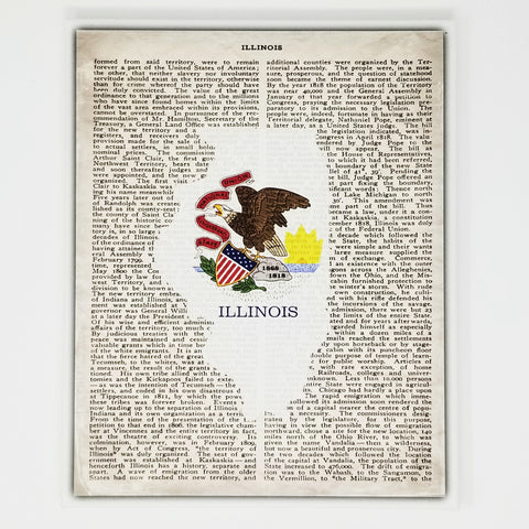 Illinois Flag Canvas Wall Decor - 8x10 Decorative IL State Map Silhouette Encyclopedia Art Print - ILL Decorations