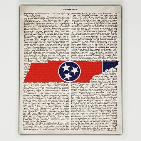 Tennessee Flag Canvas Wall Decor - 8x10 Decorative TN Map Encyclopedia Art Print - Volunteer State Decorations
